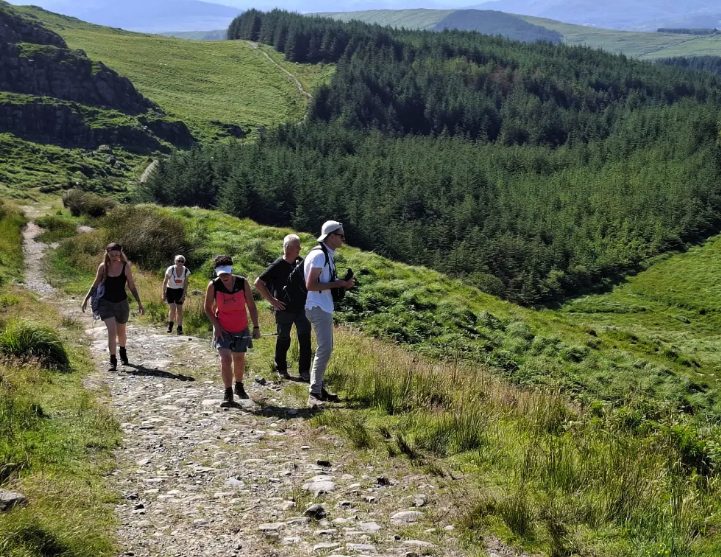 Walkers on a stony hill path above the conifer woods on a guided Killarney National Park hike