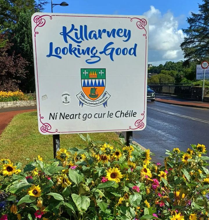 The Killarney town sign carrying the County Kerry crest, framed by sunflowers at the roadside